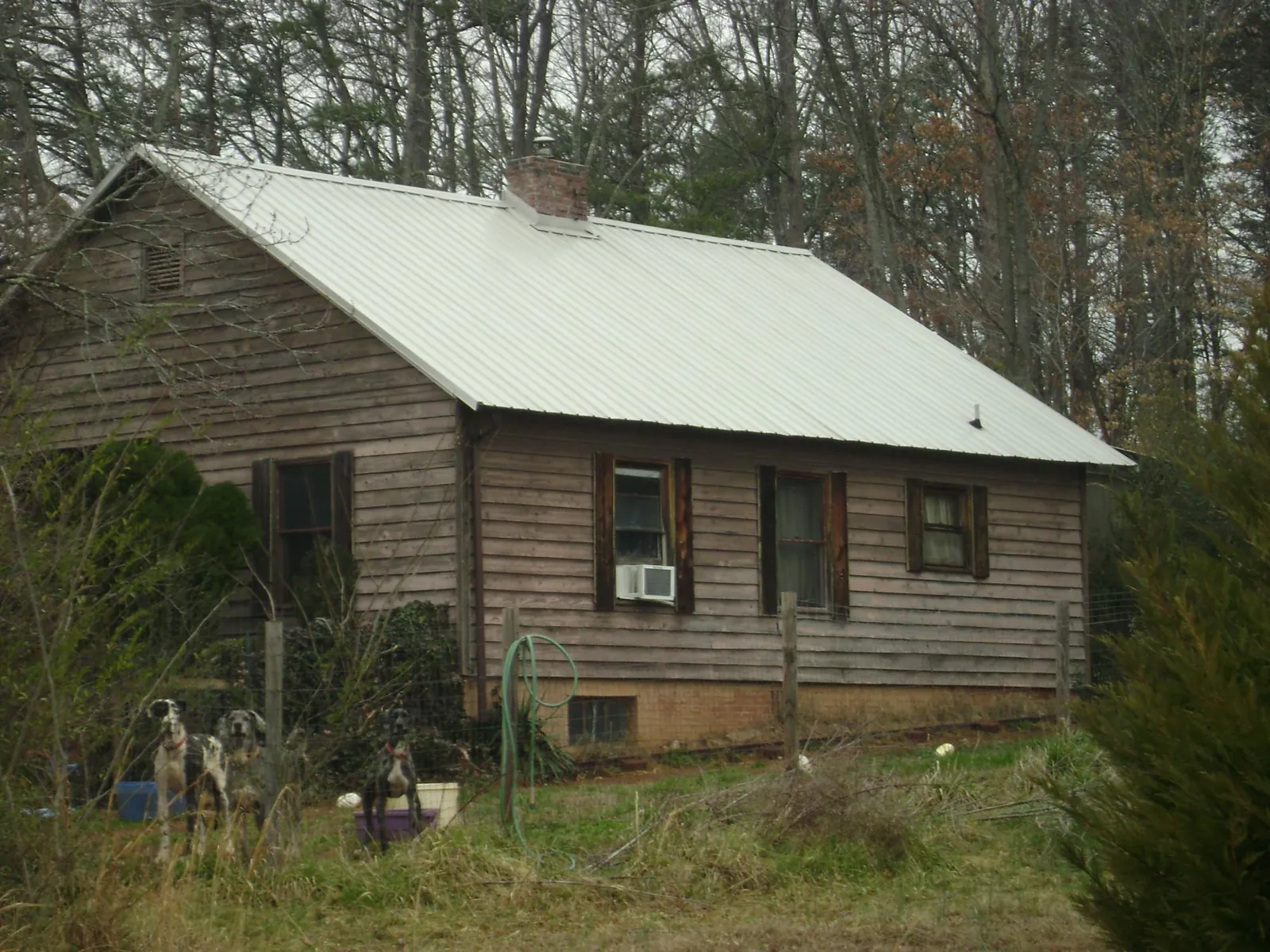 White metal roof on an old wood sided farmhouse, from a Asphalt Shingle Roof Repair job in Martindale